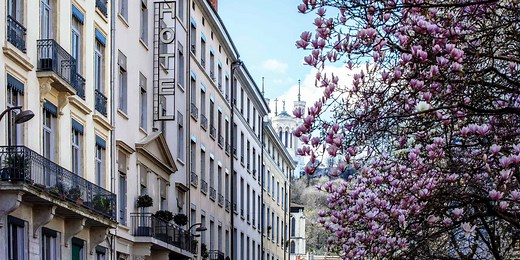 Hotel in Central Lyon City Center Presqu’île Peninsula - Hôtel des Artistes Lyon