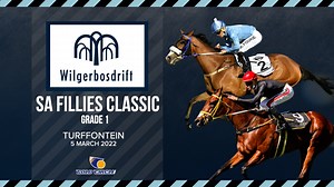 15 reactions | ⭐PREVIEW: WILGERBOSDRIFT SA FILLIES CLASSIC GR1  If you thought the 'colts classic' was exciting, just look at he fillies! Eight of them from the 1st leg of the Wilgerbosdrift Triple Tiara, line up again, except this time in the Wilgerbosdrift SA Fillies Classic on Saturday. Saturday 05 MarchTurffontein RacecourseRace 614:59 : Carl Coetzer : Candiese Lenferna #racingnewssocialtv | Gallop TV | Facebook