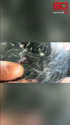 SNEAK PEEK: Inside the Sea World helicopter tragedy | 60 Minutes Australia