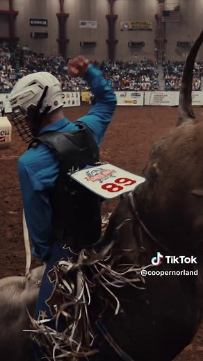 Experience the Thrill of Texas Rodeos