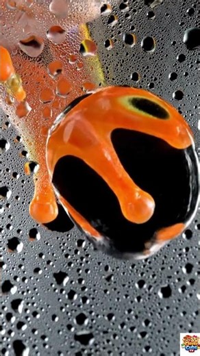 Frog sound ASMR #asmr #asmrsounds #asmrvideo