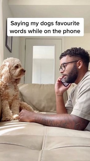 Luna The Mini Cockapoo on Instagram: "Just wait till the end… 😳😂 #dogs #funny #lunatheminicockapoo"