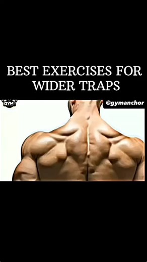 Gym Anchor on Instagram: "Best exercises for wider traps 🔥 - - - - - - - - - #traps #trapezius #back #muscles #gym #gymlife #gymmotivation #workout #workoutoftheday #workoutroutine #sport #palestra #allenamento #personaltrainer #healthy #salute #health"
