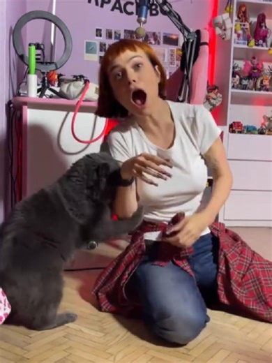 Funny Cat Clips That Will Make You Smile