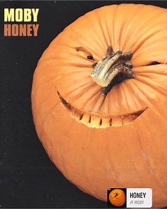26 years ago today Honey was released.. | Moby