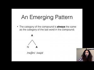 Lecture 13 Elements of Morphological Theory