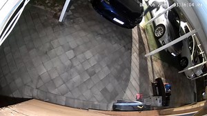 Hillside Gardens 339am, deterrents worked this time, so be Vigilant | Action for Alice 2020