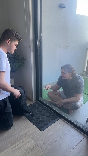 Pointing Orangutan - Memes and Trending Animal Videos