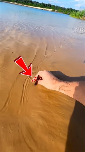 This guy finds something weird thing at the beach 😳