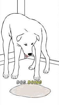 Dog Urinary Tract Problems: 5 Signs You Shouldn’t Ignore