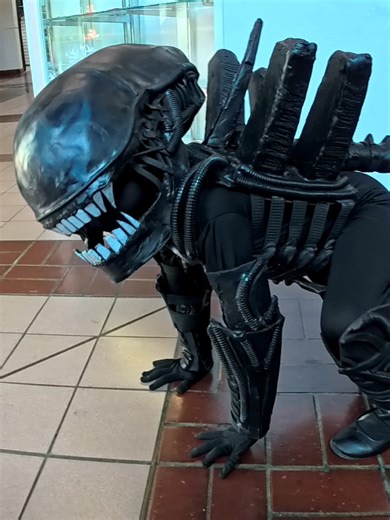 Check out this adorable little Xenomorph @Ash @Xeno Poudre #xenomorph #aliens #halloween #halloweencostume #cosplay