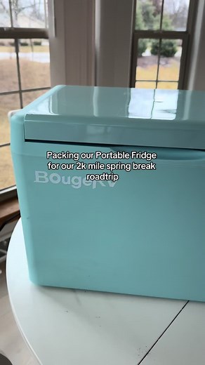 Packing Our Portable Fridge for Roadtrip Adventures