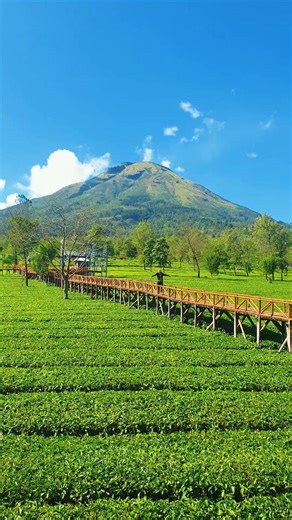 Samsung note 10 plus buat cinematic? #samsungnote10plus #short