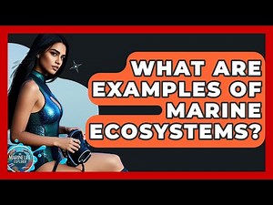 What Are Examples Of Marine Ecosystems? - The Marine Life Explorer