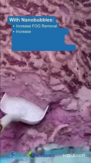 DAF: Seeing is believing! 👀 Watch nanobubbles revolutionize wastewater treatment in real-time.