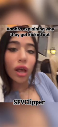 Unexpected Bed Bug Encounter Leads to Misunderstanding