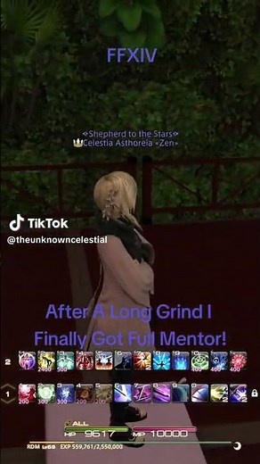 I Ran 2,000 Guildhests for Full Mentor in FFXIV 👑