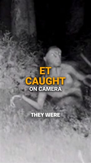 235K views · 3.4K reactions | #extraterrestrial #UFO #UAP #aliensighting #AlienEncounters | Unexplained on Gaia | Facebook