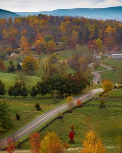 10K views · 160 reactions | Golden Leaves in Full View Historic Lexington Virginia Has it ALL! Charming Town with Great Restaurants - Art - Shopping - Outdoor Adventure | Main Street Lexington | Facebook