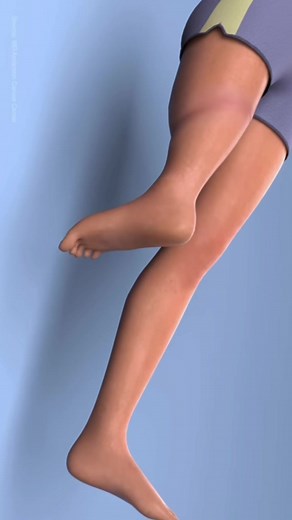 Detailed Human Knee Anatomy and Movement Exploration