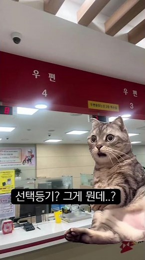 우체국 캣이 알려주는 선택등기~!