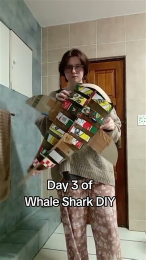 Day 3 of Whale Shark DIY