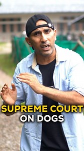 467K views · 12K reactions | Supreme court ke #delhincr ke #straydogs ke baare mein aaye fainsle ko appeal kariye, aur video share kar ke sabhi ko aisa karne ko kahiye! #doglovers #animalovers #animalrescue #animalwelfare #petlovers #petparents #dogparents #peepalfarm | Peepal Farm | Facebook