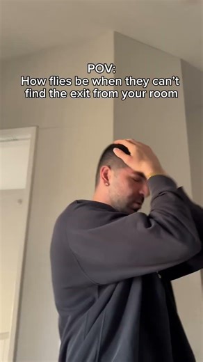 How flies be when they can’t find the exit from your room. #shorts #skit #funny