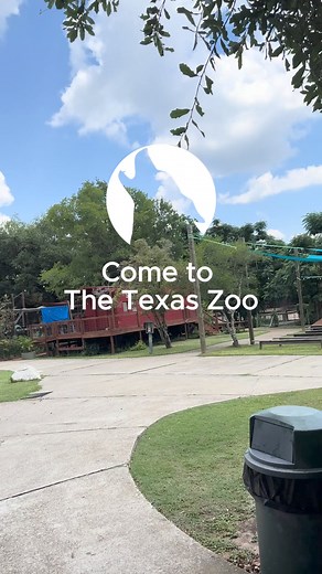 Head to The Texas Zoo and immerse yourself in the wild! Bring your family and friends and create memories that will last a lifetime! 🦜🐻📅 Plan your visit now #TheTexasZoo #FamilyFun #WildlifeAdventure #ExploreTheZoo #AnimalLovers | The Texas Zoo