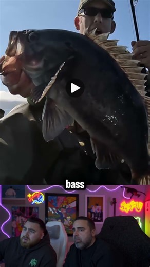 Luke found this nearly extinct fish... #lospollostv