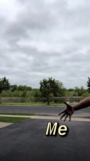 Playful Dog Moments with My Pupper