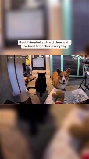 POV: You and your ride-or-dine bestie since day one 🐾