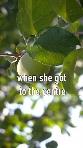 10K views · 226 reactions | #sphinx #aliens #alien #ancient_aliens_theory #Nikola #Ancient #UFO #ancient #moon #ancientheory #history #antarctica #archaeology #ancientcivilizations | Ancient Aliens Theory | Facebook