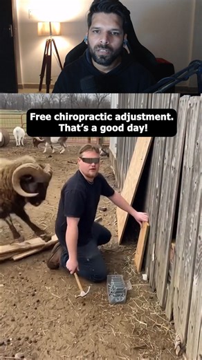 Free chiropractic adjustment. #Reaction #reactionvideo #sigma #comedy #voiceover #science | Sitcom fun