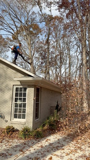 19K views · 77 reactions | Worlds strongest backpack blower  #eatonlawncarenc #stripeking #lawntok #explorepage #ECHOChallenge | Nate | Facebook