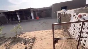 Very Sad Mini Zoo Routine 😨 Motu 💔 Aseel Club Aftab Baloch اصيل علي ابوبكر - Aseel Ali Abu Bakr اصيل علي ابوبكر - Aseel Ali Abu Bakr | Aseel Nawabi