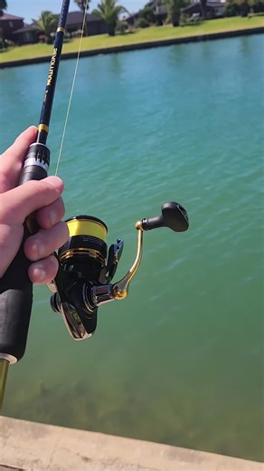 Bream Fishing Tips at Westlakes for Beginners