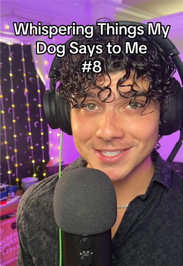 Ok we get it— you want treats 🤣 This is whispering things my dog says to me part 8. Relax and goodnight #asmr #asmrwhispering #asmrwhisper #asmrtiktoks #fyp