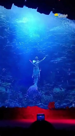 Busan Aquarium - South Korea
