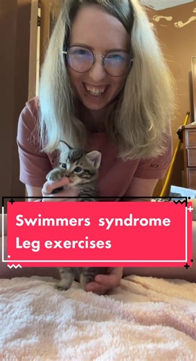Swimmer Syndrome in Kittens: Understanding and Exercises
