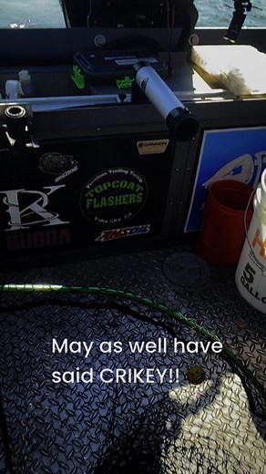 Here Fishy Fishy on Reels