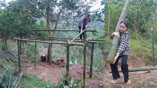 14K views · 275 reactions | Busy Day: 17-Year-Old Girl Builds Bamboo House Alone & Journey to Build Her Own New Life | Single Mom - Thao Life | Facebook