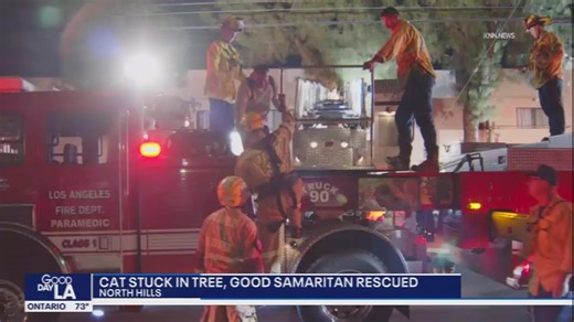 8.5K views · 129 reactions | Rescuing the well-intending rescuer -...