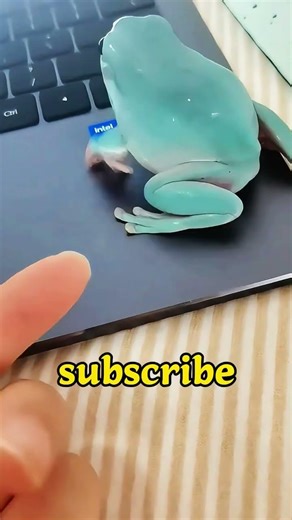 Leave The Water When You See Blue Glow