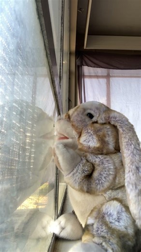 A remake👁️👄👁️ #fpyシ #singing #music