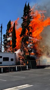 11K views · 10K reactions | At 2:15 PM on September 12, 2025, Orange...