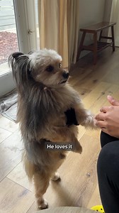 Get an Embark Dog DNA Test – trusted by millions of dog owners and reviewed as the top gift by New York Magazine 🐶 Click to save now! 🧬 Embark tests for over 350 breeds, types, and varieties 🔬 Screen for 270 genetic health risks 🐾 Meet your pup’s relatives in our database | Embark Vet