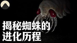 [中配]揭秘蜘蛛的进化历程 - Moth Light Media