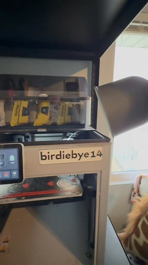 Printer Tour and a little on watching how the keychains are made. | Birds and Beaks Rescue and Rehab