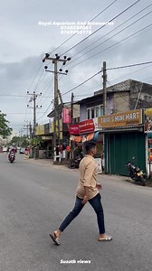 245K views · 4.8K reactions | Royal Aquarium And Accessories 0760250061 0769090178 Royal Aquarium And Accessories #suaath_views #trending #foryou #colombo | Suaath views | Facebook